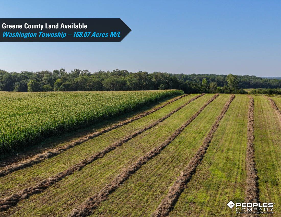 Listing Photo: Greene-County-Land-Available-168-Acres-19616 (16)